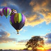 Laura Ballard's photo