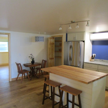 Lakeside Basement Kitchen