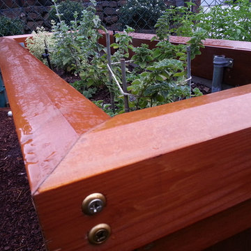 Mr. "Roger's" Street Trees & Rolls Royce Garden Beds