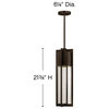 Hinkley Shelter One Light Hanging Lantern 1322KZ