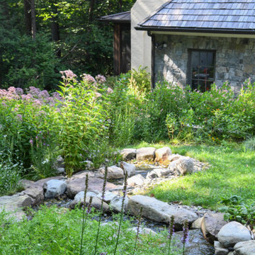 Pollinator Garden McLean, Va