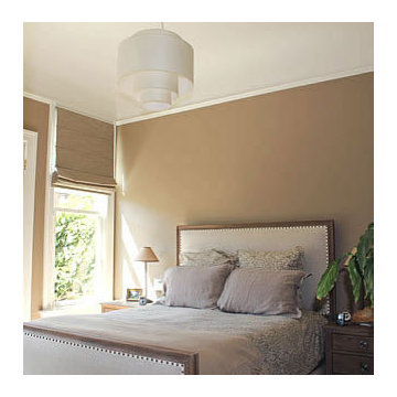 Paint Color Consultation
