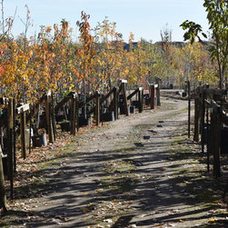 Fossil Creek in the Fall - Products