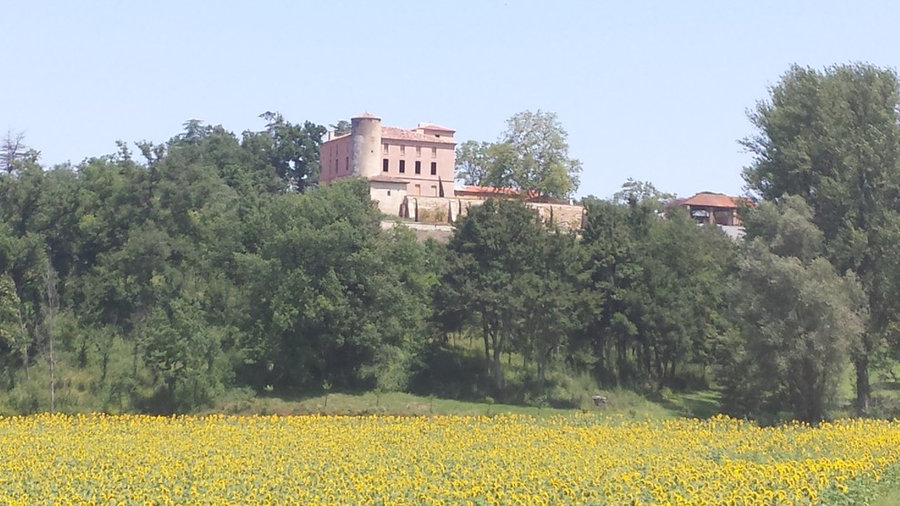 Rénovation de château- French château renovation project