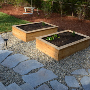 Mittelgroßes, Unbedecktes Eklektisches Patio mit Gemüsegarten hinter dem Haus mit Betonplatten in Richmond