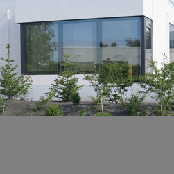 Iceland Project - Windows