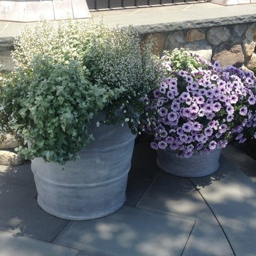 Container Gardens