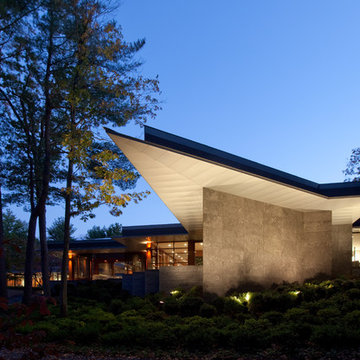 Naturally Modern
