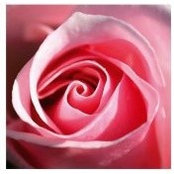 Ella Spada's photo