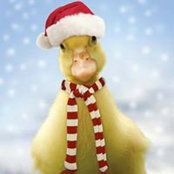 Tracy Anderton's photo