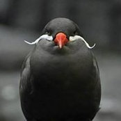 Airiel Davis's photo