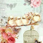 Rosana Cipollari's photo