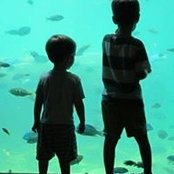 Darcie Ina's photo