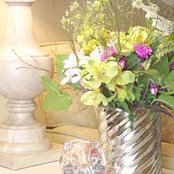 Lila Macdonald's photo