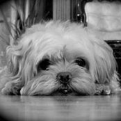 Foto de May Ng