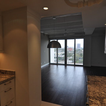 High-Rise Condo Remodel