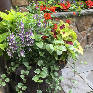 Adirondack Retreat