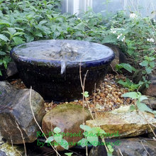 garden landscape