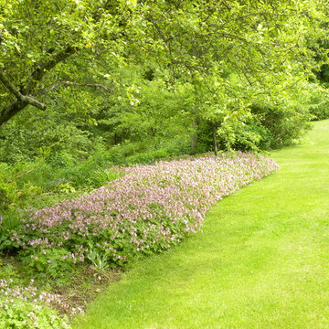 Wooding Hill