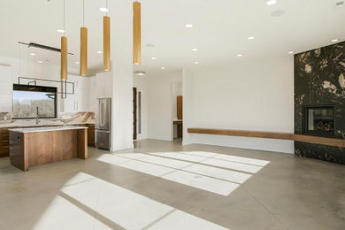 Example of a minimalist family room design in Kansas City