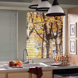 Hunter Douglas Reveal&trade; with MagnaView&trade; - Window Blinds