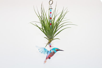 Avian Spirit Pieces - Living Ornamental Art