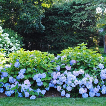 Good Garden's Own Backyard