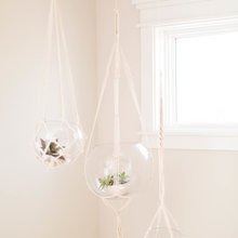 Reese Room