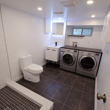 Leslieville Basement