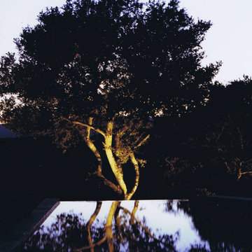 Reflections