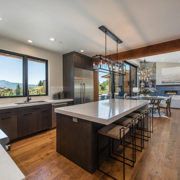 Juniper at Lookout Ridge Promontory by Ledyard Homes.