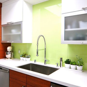Mid Century Modern - Eichler Renovation