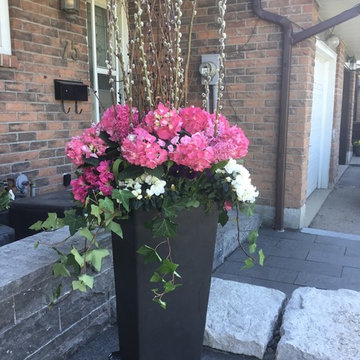 Spring Urn/Planter Arrangements