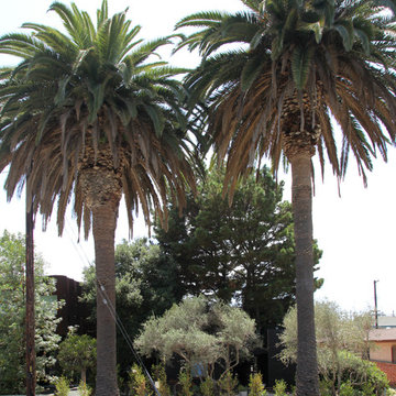 Dwell Home Venice