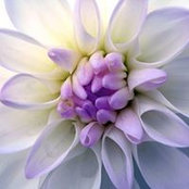 Quinta Elba's photo