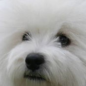 Marlene Vitaletti's photo