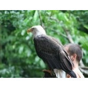 Tom Bohinc's photo