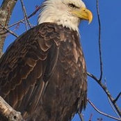 Darren Miller's photo
