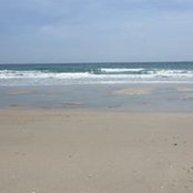 Michelle Brady's photo