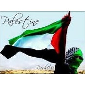Foto von Amjad Shaltaf