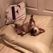 Karen Johns's photo
