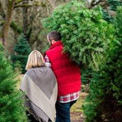 Emily Secord's photo