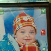 Adel Shokrys foto