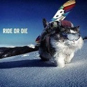 Foto de Vincent Pilote-Hamel
