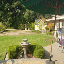 amy's backyard