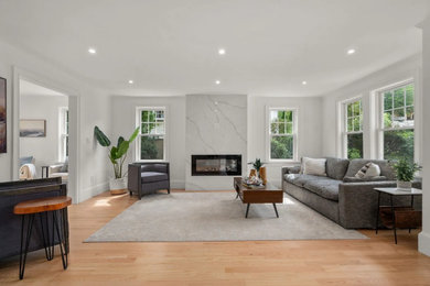 Living room - transitional living room idea in Boston