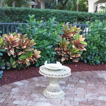 Privacy Hedges