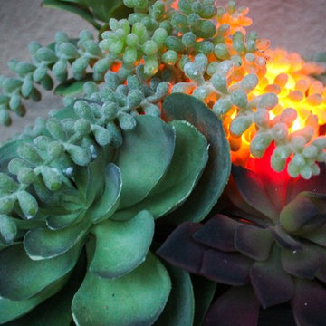 Succulant Garden -