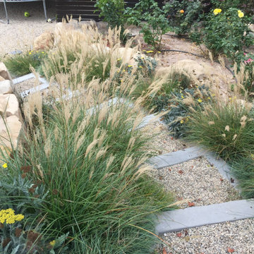 San Roque Contemporary Landscape Renovation
