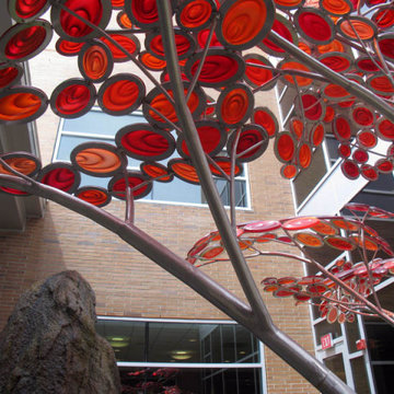 Zen Roof Garden - Dublin Methodist Hospital